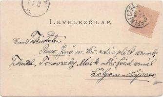 1899 Selmecbánya Szentháromság-szobor / Trinity statue