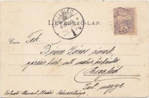 Selmecbánya Deák utca, Takáts Miklós kereskedée / street, shops; floral litho