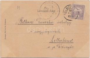 Selmecbánya forestry academy, coat of arms litho