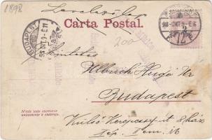 1898 Rio de Janeiro botanical garden