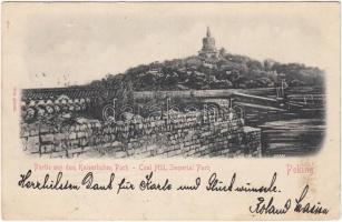 Beijing, Peking; Coal hill, Imperial park (wet damage)