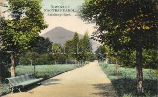 Nagybánya Széchenyi grove