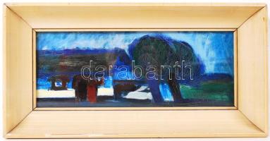 Csizmadia Zoltán (1933-): Tanya. Olaj, farost, hátul jelzett, üvegezett keretben 20×39 cm