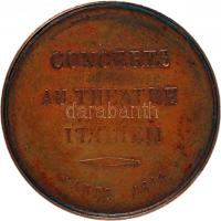 Franciaország 1844. "Liszt Ferenc koncert 1844 Párizs" Br emlékérem (30.5mm) sign.: A.Bovy...