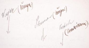 1927 Kerny István (1879-1963) felvétele a kecskeméti nemzetközi sakkversenyről, a hátoldalán találha...