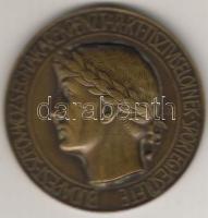 1929. "Bp. Takarékpénztár.." bronz, Szign:Erdey Dezső T:2