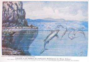 Othenio Abel: Lebensbilder aus der Tierwelt der Vorzeit. Jena, 1922. Gustav Fischer Kiadó. Számos il...