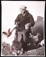 cca 1940 Reich Péter Cornel: Baromfiakat etető idős asszony. Vintage fotó, 30x24cm