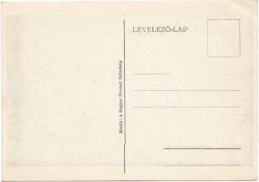 Irredenta, Magyar Nemzeti Szövetség