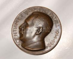 1924. "Vitam et vitam.." Verebély Tibor sebész, egy.tanár nagyalakú bronz plakett T:2 szign. Életrajz mellékelve!