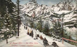 Tátrafüred, Tarajka in winter, sledging, Divald & Monostory