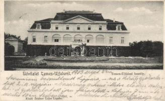 Temesújfalu castle (small tear)