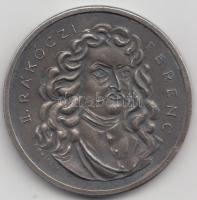 Borsos Miklós (1906-1990) 1981. "Sárospataki iskola - II. Rákóczi Ferenc 1531-1981" fém emlékérem (45mm) T:2