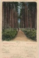 Tátra Barlangliget, Ivánka street