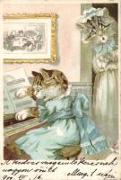 Cats litho