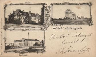 1899 Mezőhegyes kaszinó, elevator, cukorgyár; floral (EK)