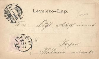 1899 Mezőhegyes kaszinó, elevator, cukorgyár; floral (EK)