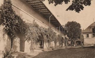 Nagybánya mine directorate (fa)