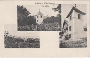 Révfülöp Isó-villa (kis szakadás / small tear)