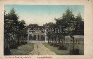 Érmihályfalva Bujanovits castle