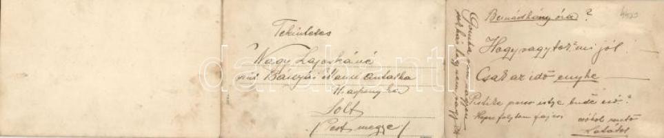 Szeged panoramacard (fl)