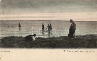 Balaton, orvhalászok