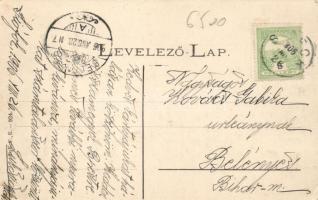 Balaton, orvhalászok