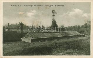 Debrecen-Pallag Gazdasági Akadémia, Kertészet (EK)