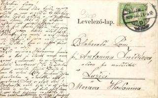 Szolnok Faragó Sándor könyvkötészete, Guszmag Antal virágboltja, Tisza István borbélyüzlete