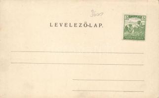 Solymár, Brunner-villa