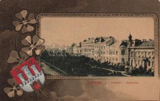 Sopron Deák tér, flag, litho