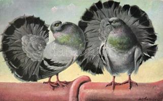 Birds s: Alfred Schönian