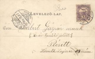 Szekszárd Garay János szülőháza és szobra, floral