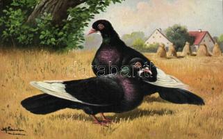 Birds s: Alfred Schönian