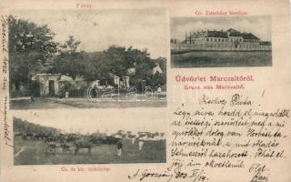 Marcaltő Főtér, Gr. Eszterházy kastély, Csikótelep