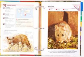 cca 1990 5db tudástármappa: Csodálatos állatvilág, Atlas, Családorvos, Virágvarázslat