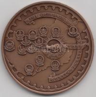 Bozó Gyula (1913-2004) 1988. "Szent Jobb országjárása-Szent István halálának 950. évfordulója" nagyalakú Br emlékérem (70mm) T:1