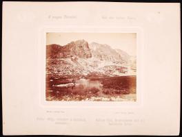 cca 1880 Divald Károly: A magas Tátrából - Aus der hohen Tátra: Felkai völgy, virágkert a Gerlsdorfi csúccsal - Felkaer Thal, Blumengarten mit der Gerlsdorfer Spitze. Divald Károly eperjesi műterméből, kartonra kasírozva, 32x24cm (1890k.)