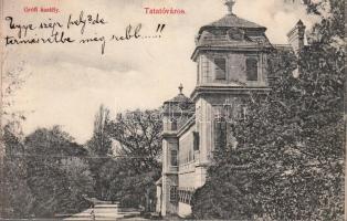 Tatatóváros, Grófi kastély