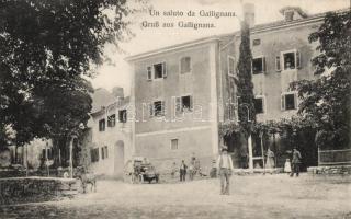 Gracisce, Gallignana