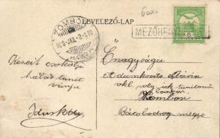 Mezőhegyes cukorgyár