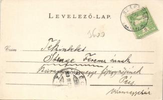 Szászvár Főtér, Hollander Ferenc kereskedése