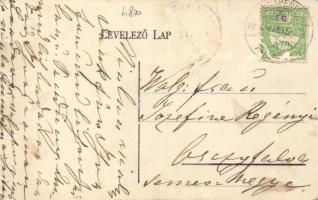 Dunapentele Janicsáry-puszta