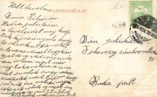 Dunaföldvár özv. Nagy Imréné Stefánia mulatókertje