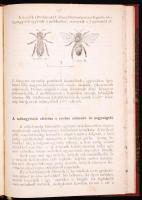 Kriesch János: Az okszerű méhészet elemei. A Földmivelés-, Ipar- és Kereskedelemügyi M. Kir. Ministe...