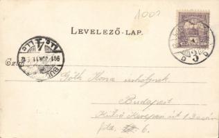 Budapest XIV. Állatkert, nagy ragadozók háza, Divald