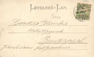 Kiskunfélegyháza, repülő úriember