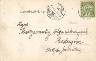 Lovászpatona, Strausz Géza vaskereskedése, floral