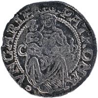 1532. Denar Ag "I. Ferdinánd" C-Liliom (0.5g) T:2 Hungary 1532. Denar Ag "Ferdinand I" (0.5g) C:XF Huszár: 943., Unger I.: 744.d