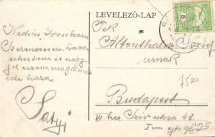 Répcelak, vasútállomás, Takáts-kastély, Askay-kastély; floral